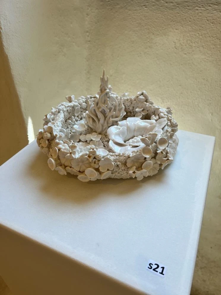 Igniflora — full original photograph