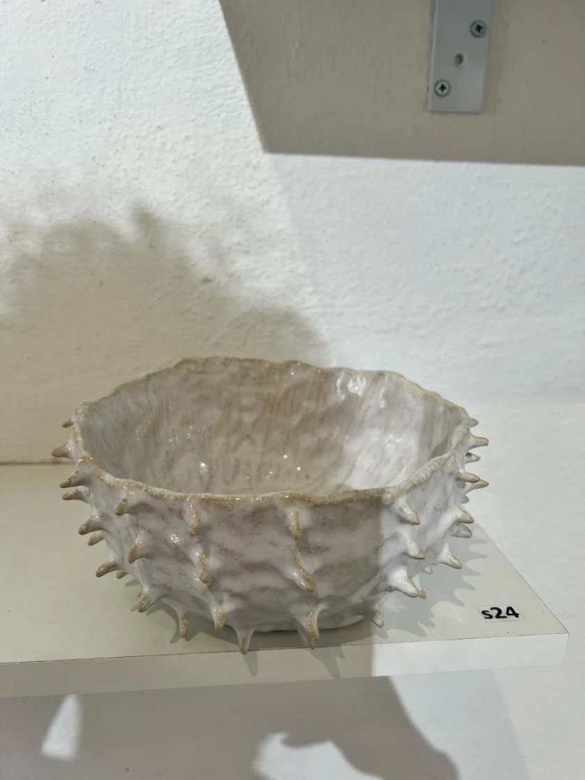 Urchin — full original photograph